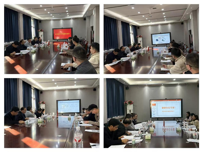 “环己基膦衍生物生产关键技术开发”等三个项目通过省级科技成果评价