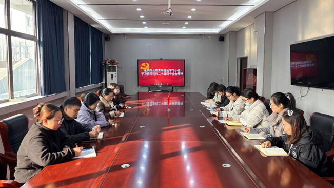 化学所公司青年理论学习小组学习贯彻党的二十届四中全会精神